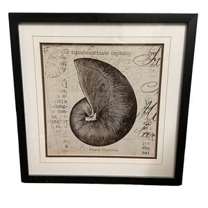 Ocean Collection II by Sabine Berg Wall Art Print of the Pearly Nautilus